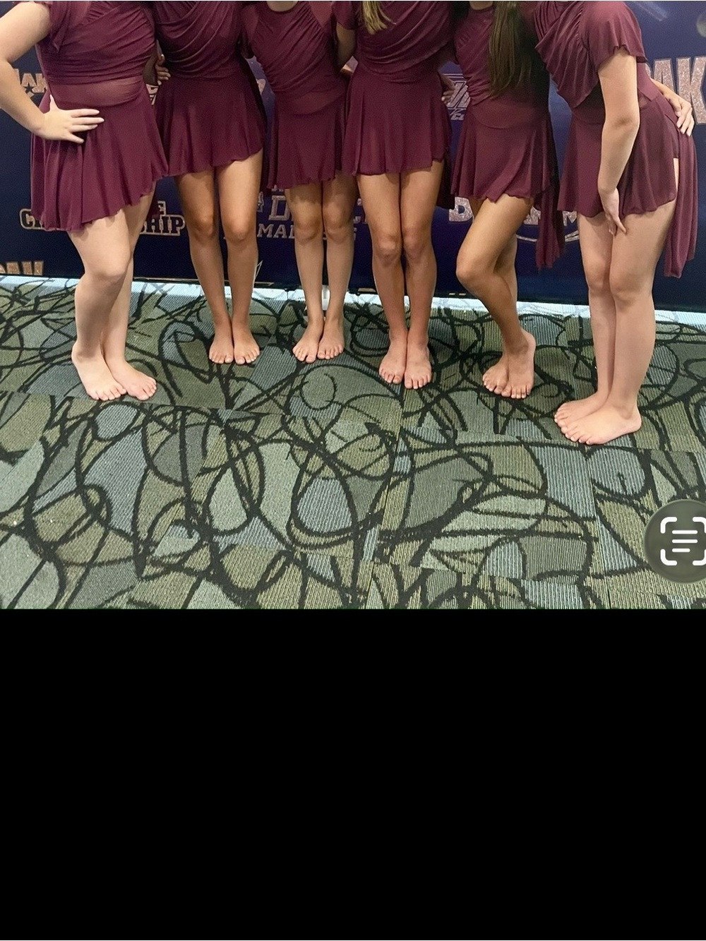Maroon Dance Skirted Leotard Set